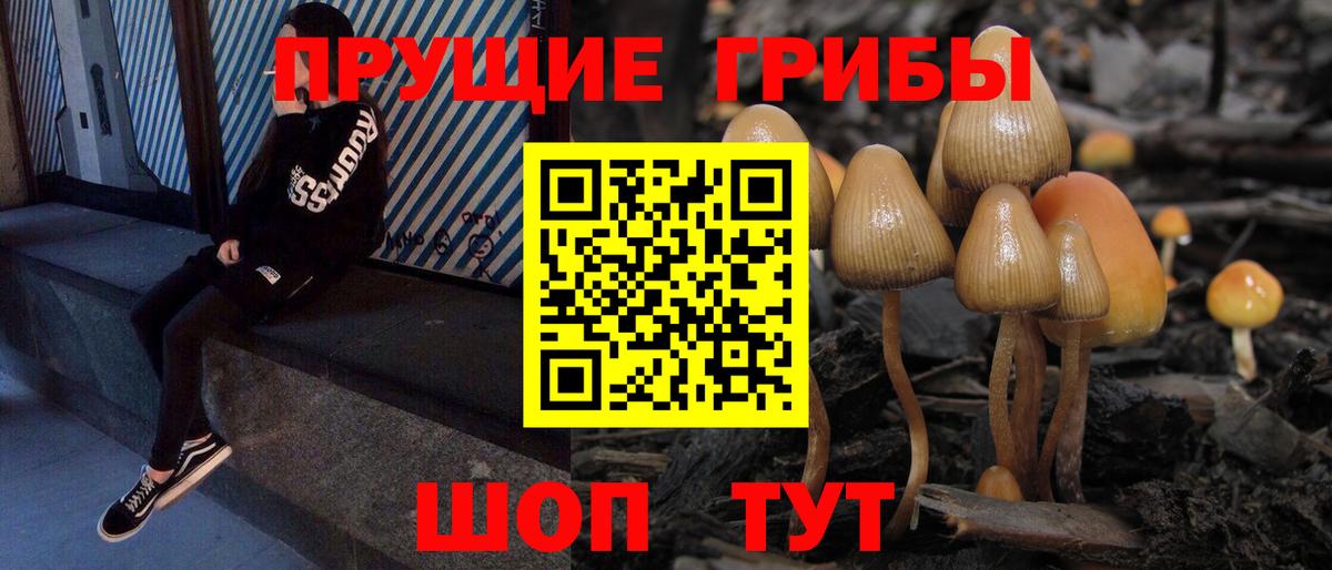 Псилоцибиновые грибы ЛСД Ефремов