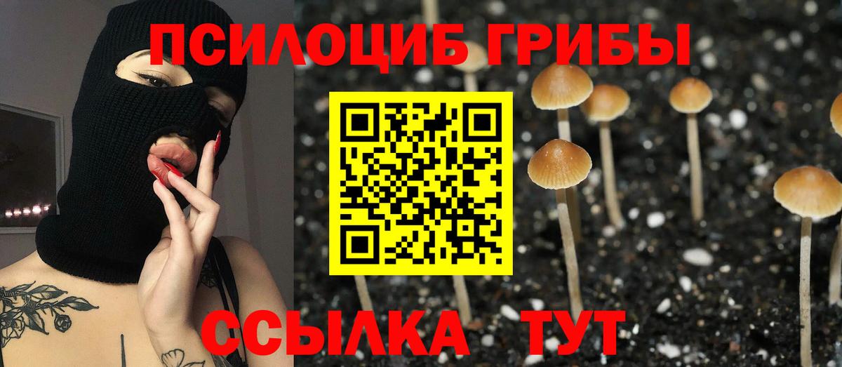 Ефремов  Галлюциногенные грибы GOLDEN TEACHER  Вход с VPN 
